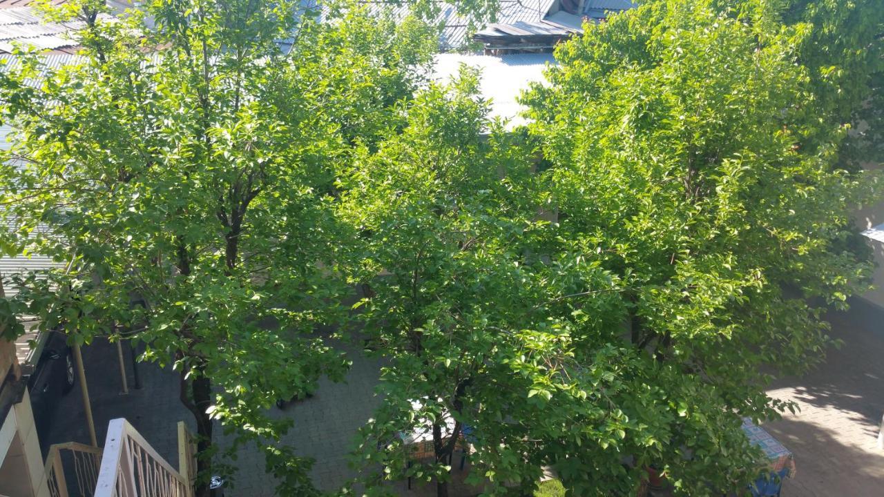 Gulnara Guesthouse Tasjkent Buitenkant foto